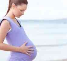 Sedla u obliku maternice i trudnoća
